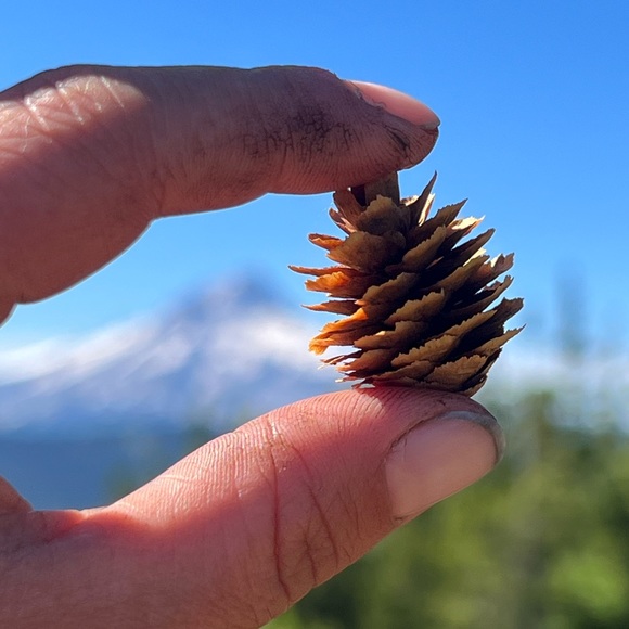 Meet your Posher, Emma - Picture 2 of 4